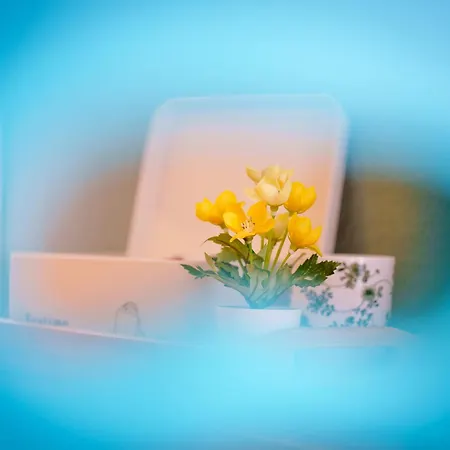 Pause Et Serenite De 28m2